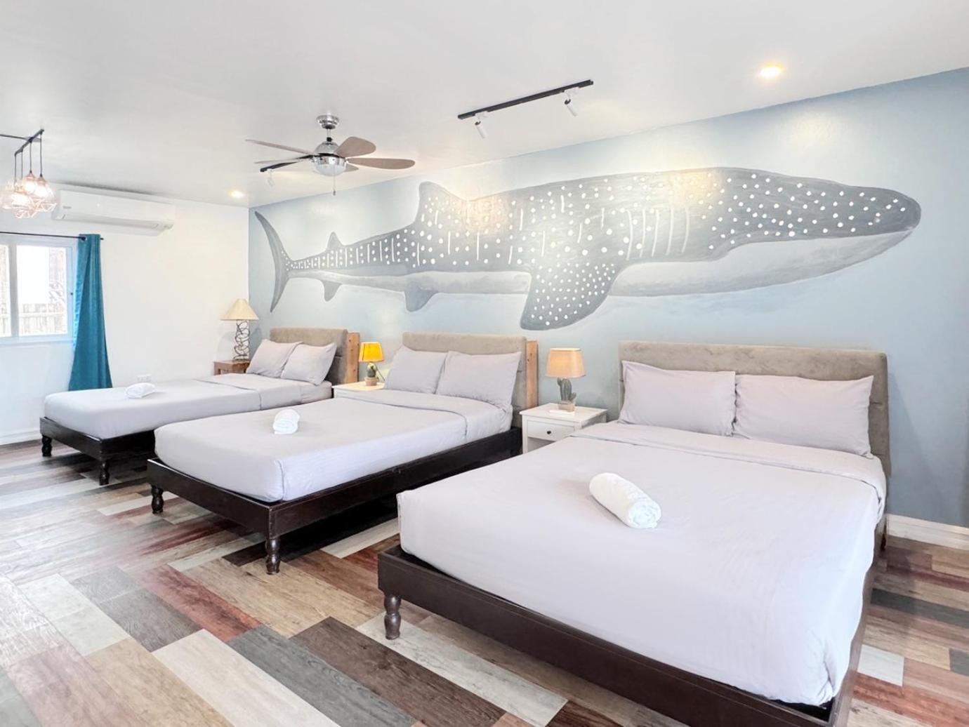 Kalachuchi Inn 薄荷雞蛋花旅宿 Panglao Zewnętrze zdjęcie
